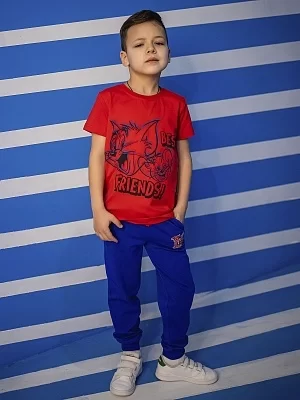 Комплект футболка и брюки для мальчика (0018_ОПЛ)